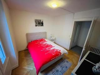 A deux pas du lac et de IMD, Ouchy bel appartement - Losanna - 4