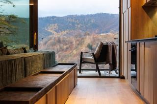 Stejeris Nature-Inspired Luxury Apartment - Brasov - 6