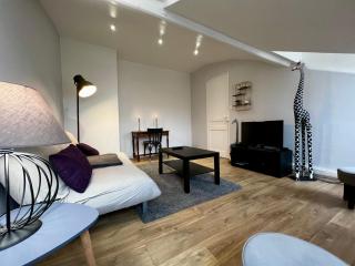 Esprit Cocooning / Secteur centre / Netflix - Roanne - 5