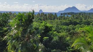 Résidence Frangipaniers - 5