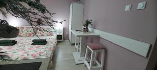 KOSA APARTMAN - Vrnjačka Banja - 5