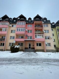 Apartmán DoMa - Tatranská Lomnica - Tatranská Lomnica - 5