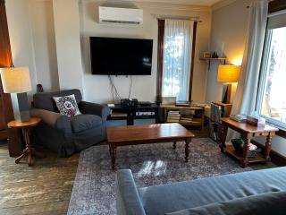 House & loft, pool table, ping-pong, fireplace, AC - Ayer's Cliff - 9