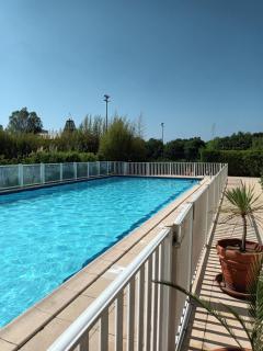Canne Cannet le lac - Le Cannet - 5