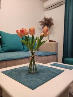 AVIS Apartment - Niš - 5