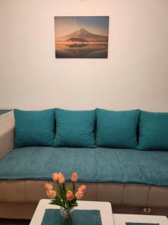 AVIS Apartment - Niš - 3