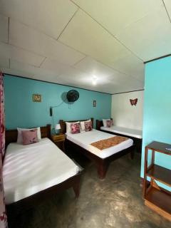 Chinitas Eco Lodge - Tortuguero - 5