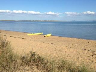 Maison 3 ch. avec piscine privative à Dolus d'Oléron - FR-1-246A-158 - 8