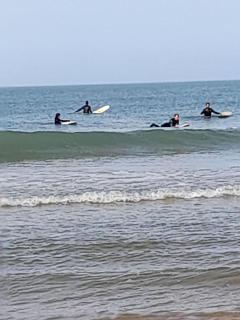 Les pins - Longeville-sur-Mer - 1