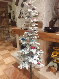 STAGNUM BABA - Impressive Luxury Villa with heated pool, hot tub, playroom and upscale house design - 4