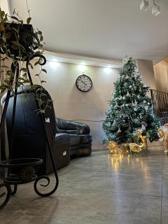 Hotel Elegant - Kazbegi - 5
