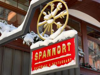 SPANNORT family home with common kitchen and self check-in - Engelberg - 7