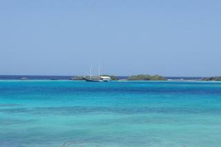 Palm Beach Paradise Vacation Rental - Palm-Eagle Beach - 1