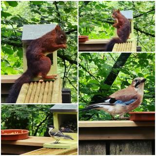 The Deer Lodge Durbuy - 2