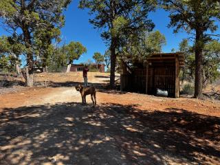RedNeck Ranch - Verdure - 2