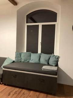 Apartmán D8 - Woody - Černý Dŭl - 7