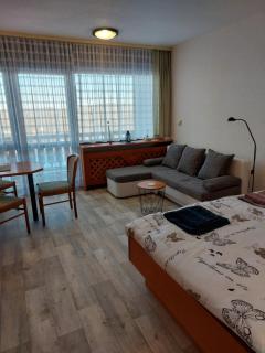 Apartment Almberg - Mitterfirmiansreut - 2