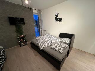 Nelis Apartment Klínovec - 7