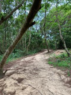 ESPAÇO BIA - Mangaratiba - 6