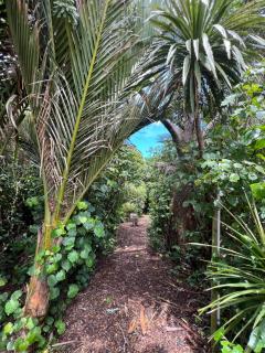 Belle Glamping by the Sea - Katikati - 7