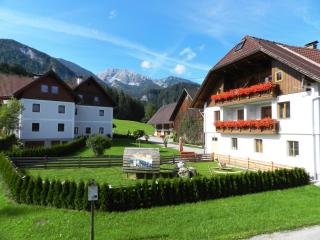 Baby- und Kinderbauernhof Riegler - Rossleithen - 0