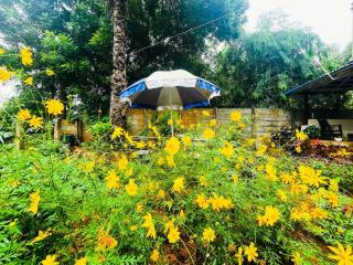 Luxury Villa Siena with Private Pool! - Pondicherry - 5