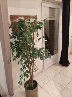 Schumann Balcon Vannes - 8