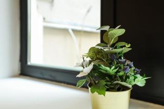 easy-flat Augarten - Apartments near Danube and Metro - 3