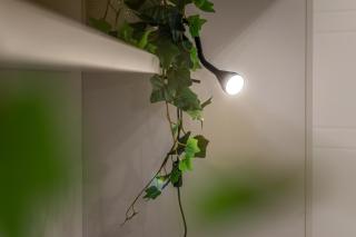 Lady Glam Siena central - 7