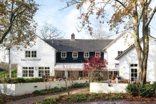 Boetiekhotel De Kastanjehof - Lage-Vuursche - 8