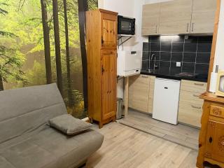 Apartment Le Savoisien by Interhome - Chamonix - 7