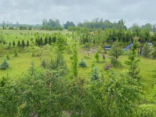 Na zielonej łące... - 7