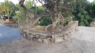 dammuso rosa - Pantelleria - 6