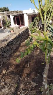 dammuso rosa - Pantelleria - 3