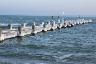 Villa Pension Strandhaus - adults only - 3