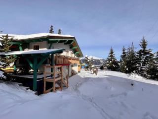 Holiday Home Katschberg 8 by Interhome - 1