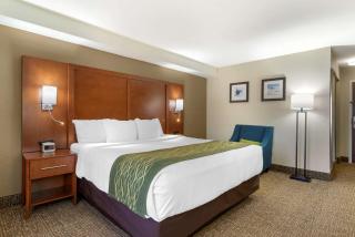 Comfort Inn & Suites - near Robins Air Force Base Main Gate - 2