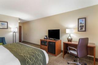 Comfort Inn & Suites - near Robins Air Force Base Main Gate - Warner Robins - 1