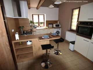 Large holiday home with garden near the lake - Hanviller - 8