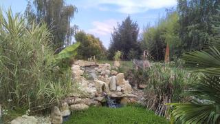Glamping for couples in tent, Camp Eucalyptus Slovenia - Kapele - 6