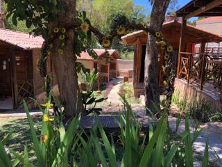 Monte Suiço - Chalés para locação - 5