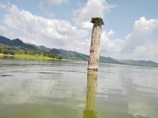 Renajoe Exclusive Centre -  - 7