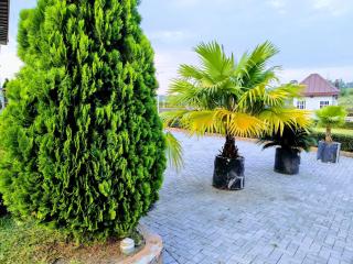 Renajoe Exclusive Centre -  - 1