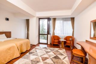 Hotel Cindrel - Păltiniş - 3