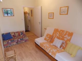 Luchon T2 Centre Ville avec Balcon Sud et Parking - Animaux Admis - FR-1-313-194 - Luchon - 3