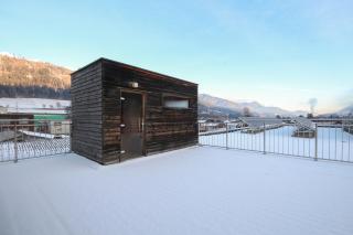 Appartements Waluliso by Schladming-Appartements - 3