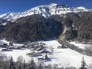 Cozy studio au centre du village & superbe vue - Les Contamines-Montjoie - 3
