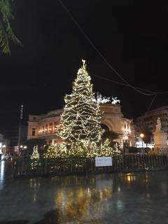 Casa Mortillaro - Palermo - 3