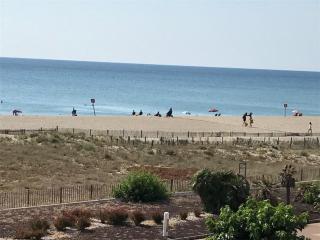 Appartement T2 - 4 Pers, Plage à 150m, Wifi, Parking Privé, Terrasse, Plancha - FR-1-81-258 - Le Barcarès - 2