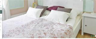 Dambachhaus Thale - 4